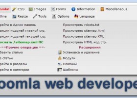 Web Developer Joomla