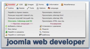 Web Developer Joomla
